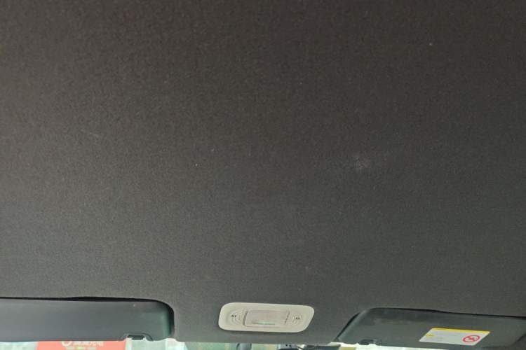 Used AION Y 2022 70 Enjoyment Edition Lithium Iron Phosphate Headliner