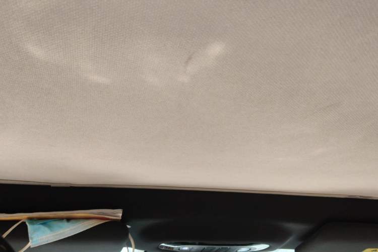 Used AION Y 2022 70 Tech Edition Lithium Iron Phosphate Headliner