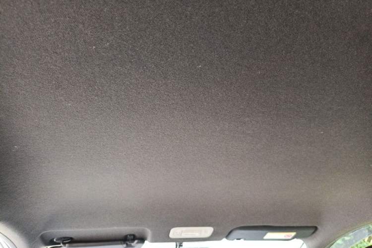 Used AION Y 2022 70 Enjoyment Edition Lithium Iron Phosphate Headliner