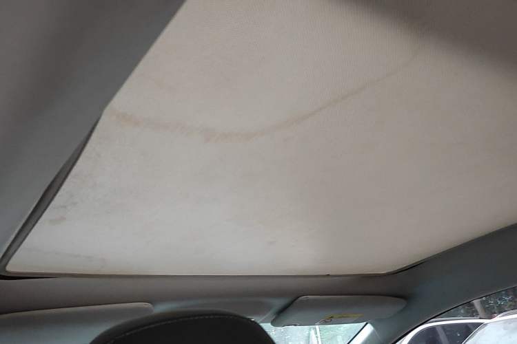 Used AION Y 2022 Plus 70 Smart Edition Headliner