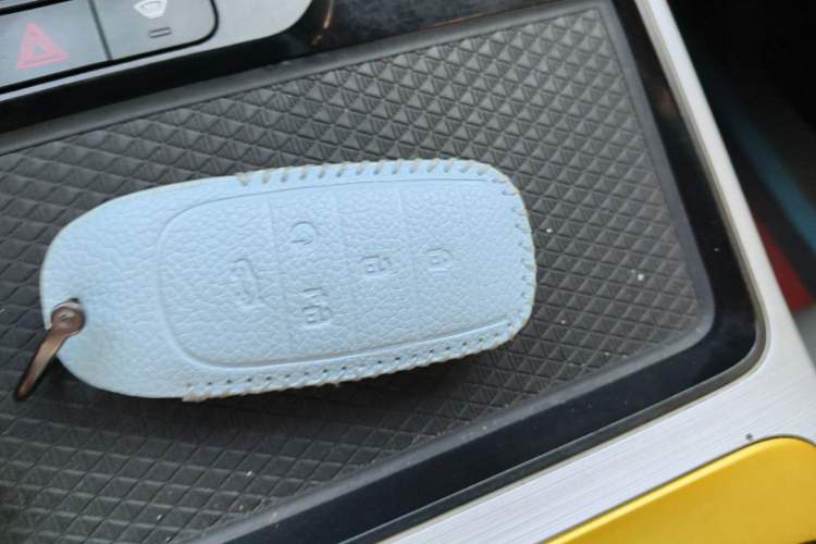 Used AION Y 2022 70 Executive Edition Lithium Iron Phosphate Vehicle Key