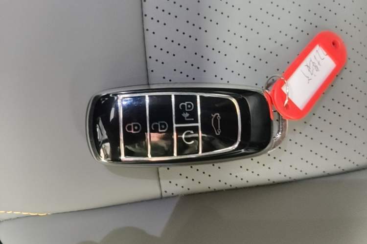 Used AION Y 2022 70 Intelligent Edition Lithium Iron Phosphate Vehicle Key