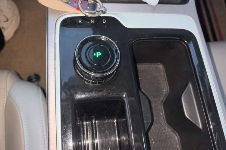 Used AION Y 2022 80 Ultra-Long Range Edition Gear Lever