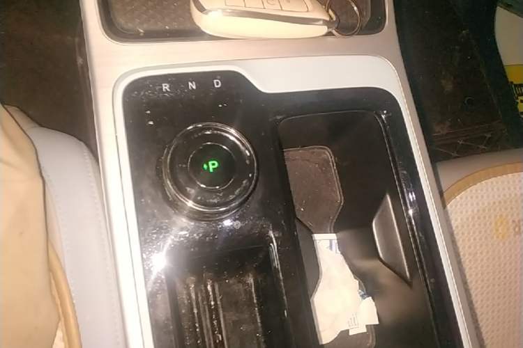 Used AION Y 2022 70 Intelligent Edition Lithium Iron Phosphate Gear Lever