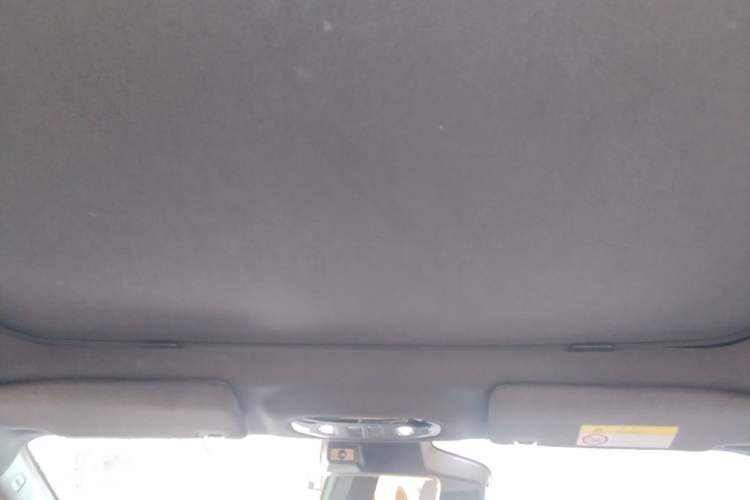 Used AION Y 2022 70 Tech Edition Lithium Iron Phosphate Headliner