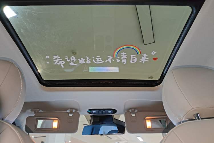 Used AION Y 2022 Plus 70 Smart Edition Headliner