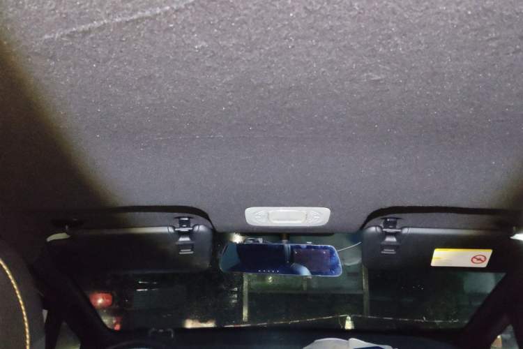 Used AION Y 2022 70 Enjoyment Edition Lithium Iron Phosphate Headliner