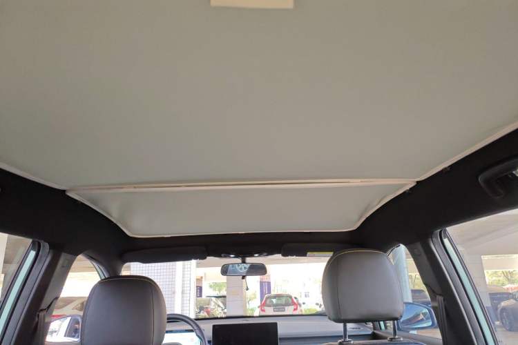 Used AION Y 2022 70 Intelligent Edition Lithium Iron Phosphate Headliner
