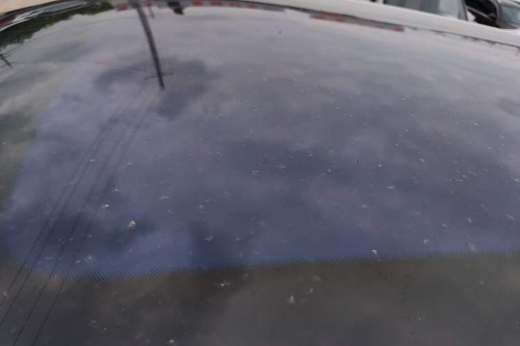 Used AION Y 2022 Plus 70 Smart Edition Roof