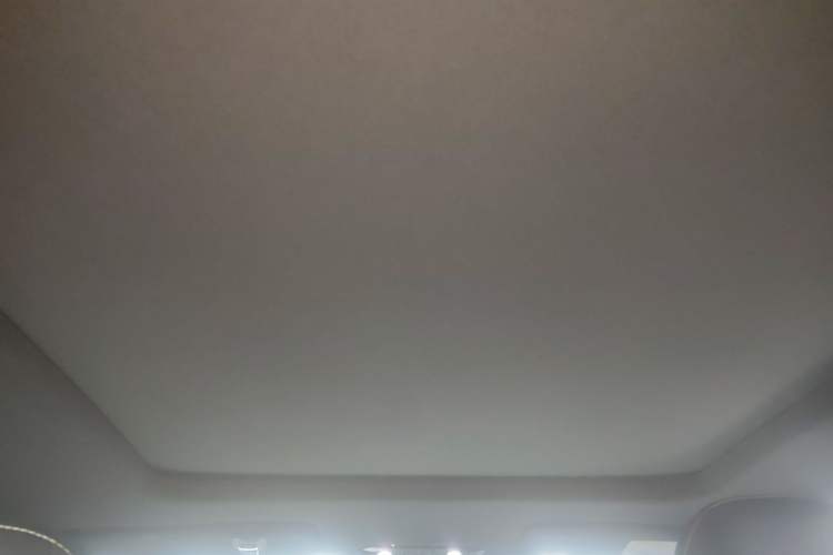 Used AION Y 2022 70 Tech Edition Lithium Iron Phosphate Headliner
