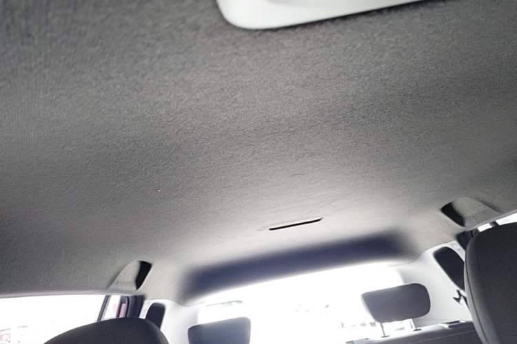 Used AION Y 2022 70 Enjoyment Edition Lithium Iron Phosphate Headliner