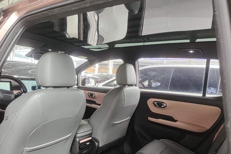Used AION Y 2022 70 Tech Edition Lithium Iron Phosphate Headliner