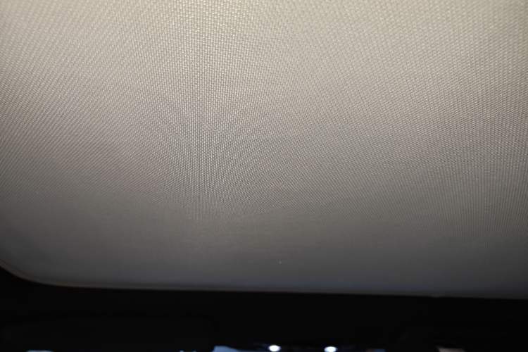 Used AION Y 2022 70 Intelligent Edition Lithium Iron Phosphate Headliner