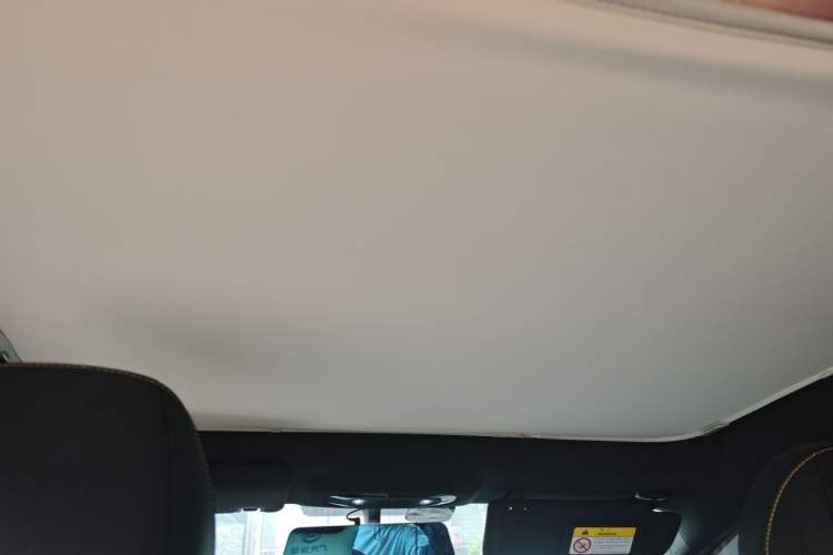 Used AION Y 2022 70 Enjoyment Edition Lithium Iron Phosphate Headliner