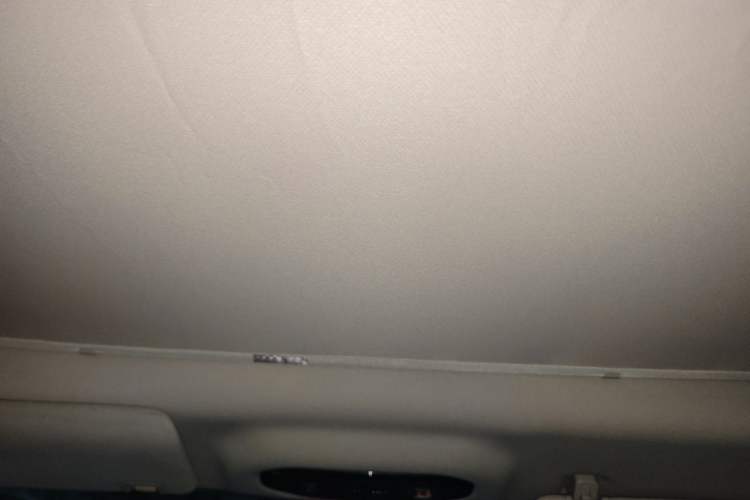 Used AION Y 2022 Plus 70 Smart Edition Headliner