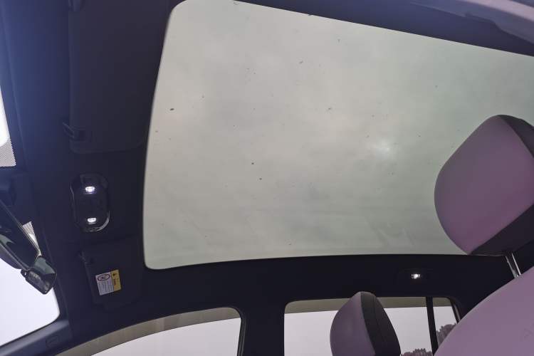 Used AION Y 2022 70 Tech Edition Lithium Iron Phosphate Headliner