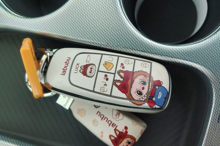 Used AION Y 2022 Plus 70 Smart Edition Vehicle Key