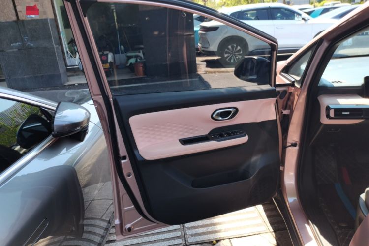 Used AION Y 2022 70 Intelligent Driving Version Lithium Iron Phosphate Left Front Door Interior