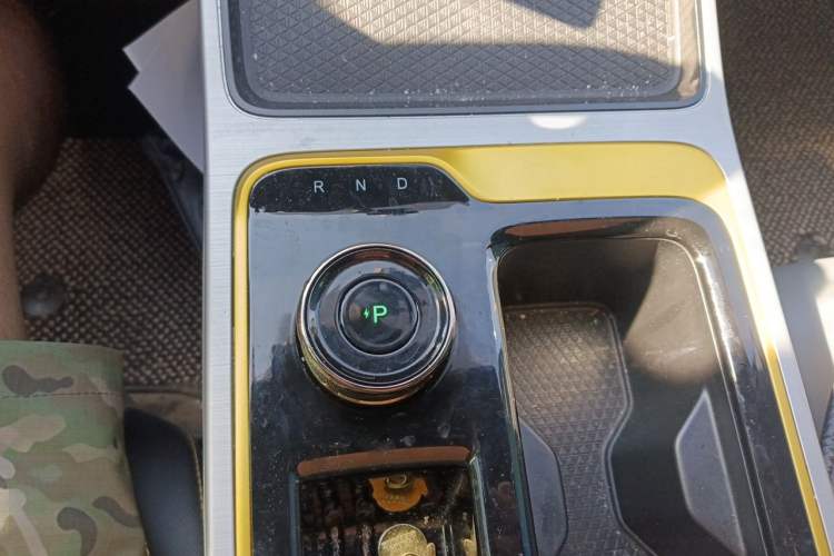 Used AION Y 2022 80 Ultra-Long Range Edition Gear Lever