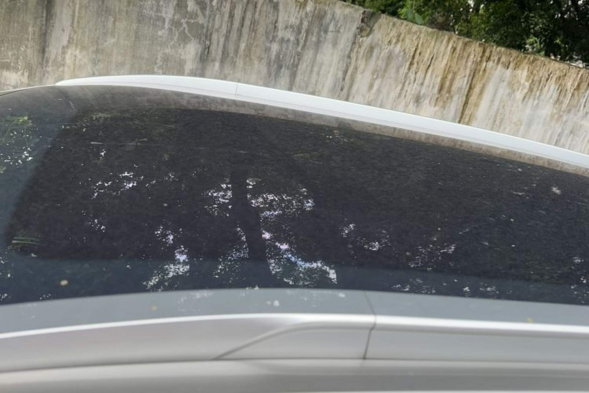 Used AION Y 2022 Plus 70 Smart Edition Headliner