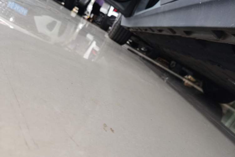 Used AION Y 2022 Plus 70 Tech Edition Left Side Sill