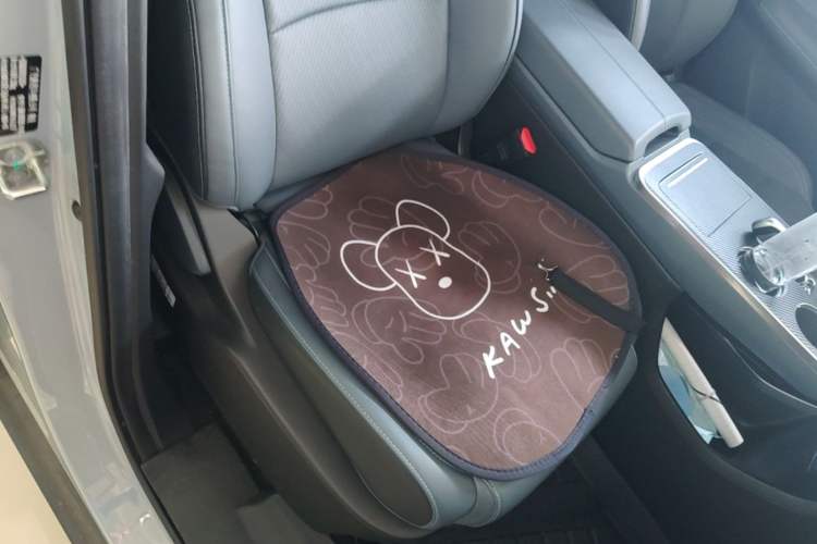 Used AION Y 2022 Plus 70 Tech Edition Right Front Seat