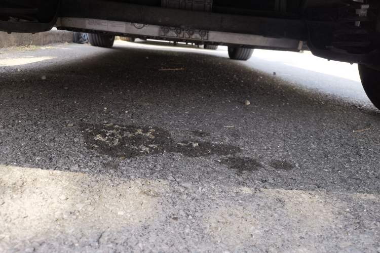 Used AION Y 2022 Plus 70 Smart Edition Chassis Rear