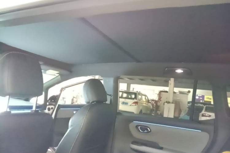 Used AION Y 2022 70 Tech Edition Lithium Iron Phosphate Headliner