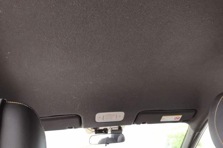Used AION Y 2022 70 Enjoyment Edition Lithium Iron Phosphate Headliner