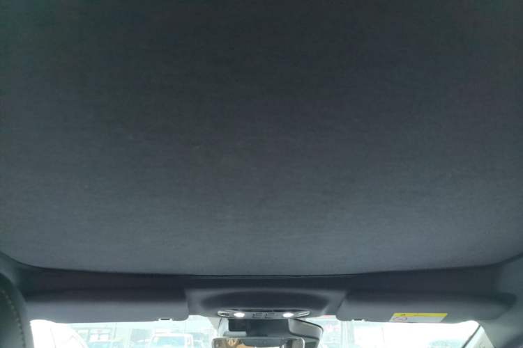 Used AION Y 2022 70 Tech Edition Lithium Iron Phosphate Headliner