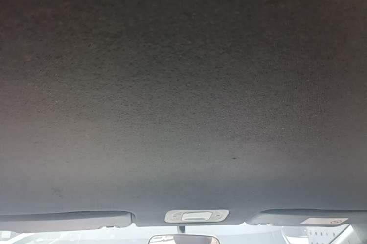 Used AION Y 2022 70 Enjoyment Edition Lithium Iron Phosphate Headliner