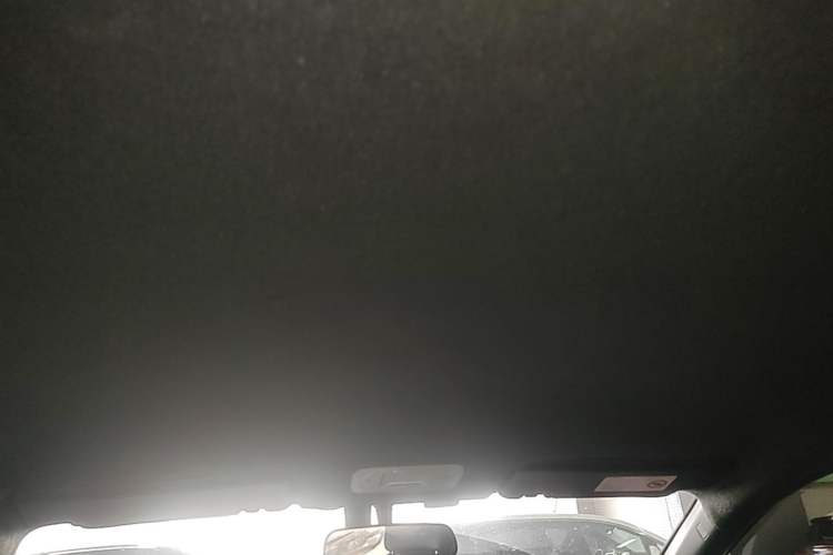 Used AION Y 2022 70 Enjoyment Edition Lithium Iron Phosphate Headliner