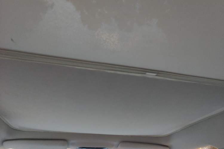 Used AION Y 2022 Plus 70 Smart Edition Headliner