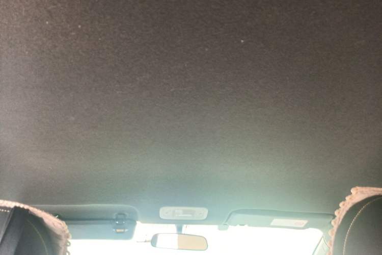 Used AION Y 2022 70 Enjoyment Edition Lithium Iron Phosphate Headliner