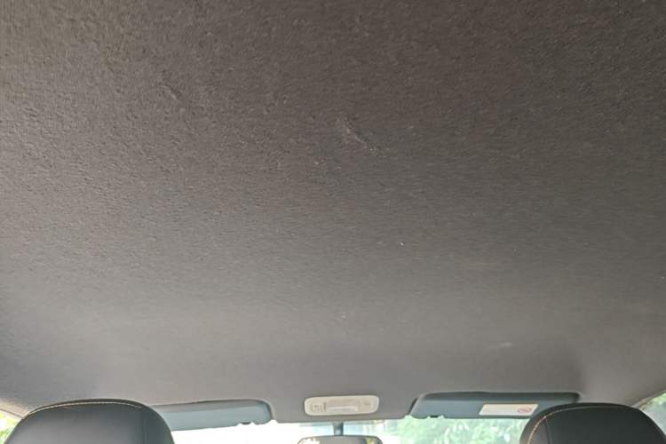Used AION Y 2022 70 Enjoyment Edition Lithium Iron Phosphate Headliner