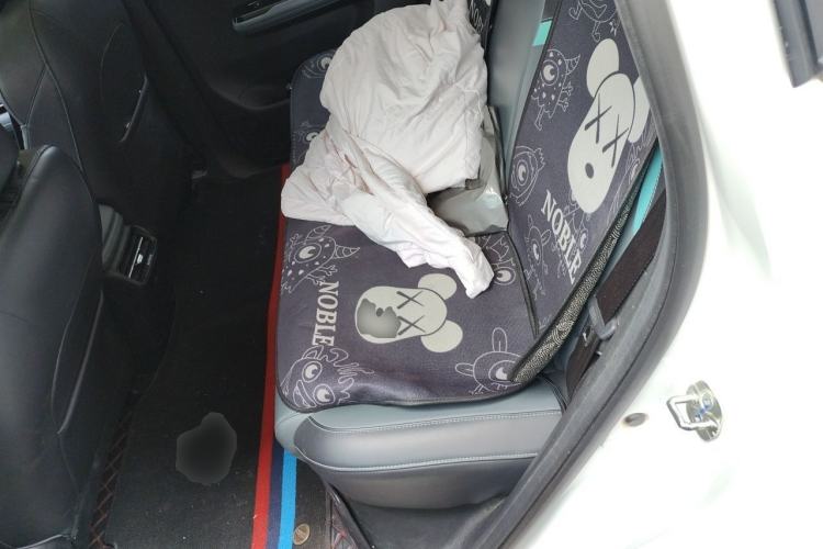 Used AION Y 2022 Plus 70 Smart Edition Left Rear Seat