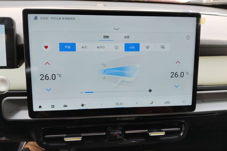 Used AION Y 2022 Plus 70 Enjoy Edition Audio And AC Panel