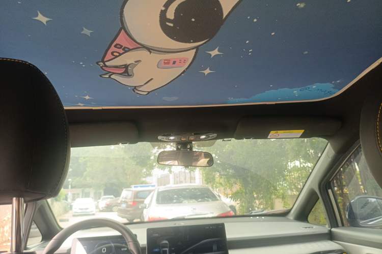 Used AION Y 2022 80 Ultra-Long Range Edition Headliner