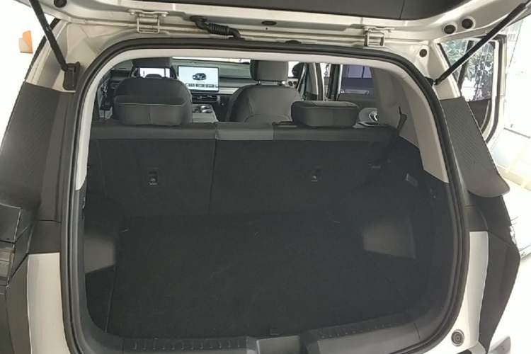 Used AION Y 2023 Younger Star Edition Trunk