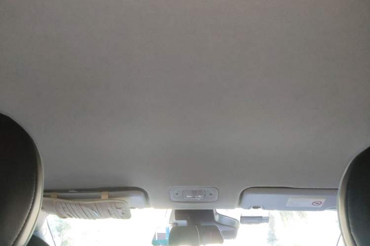 Used AION Y 2023 Plus 610 Enjoyment Edition Ternary Lithium Headliner