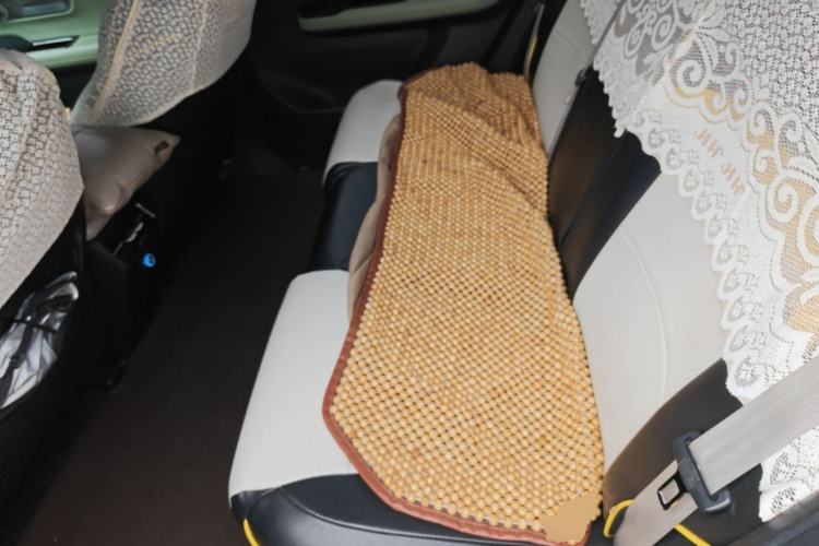 Used AION Y 2023 Plus 610 Enjoyment Edition Ternary Lithium Left Rear Seat