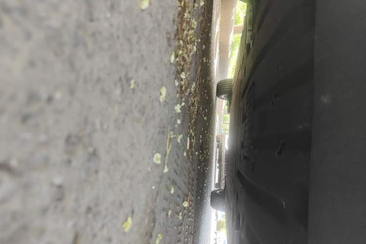 Used AION Y 2023 Younger Star Edition Chassis Front