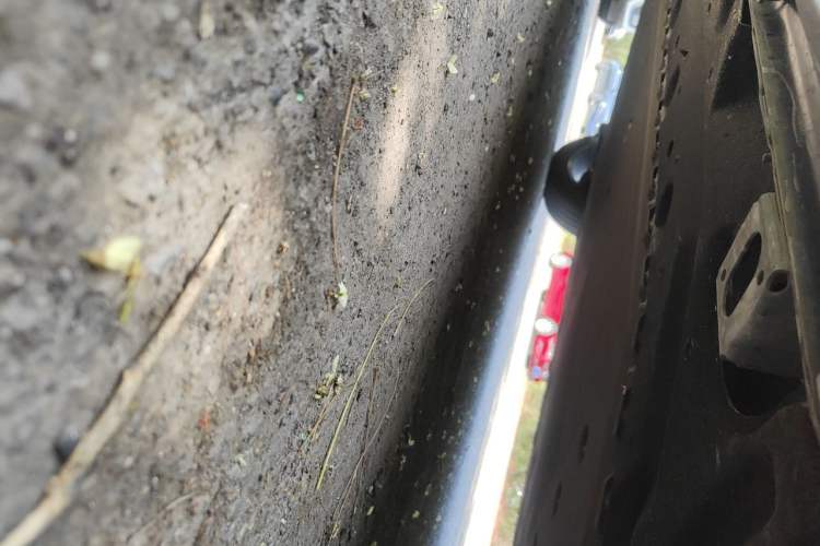 Used AION Y 2023 Younger Star Edition Chassis Front Right