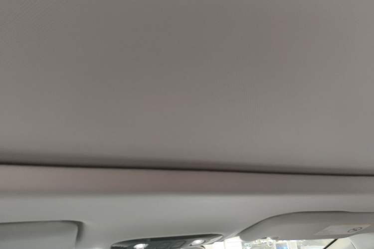 Used AION Y 2023 Plus 610 Smart Edition Ternary Lithium Headliner