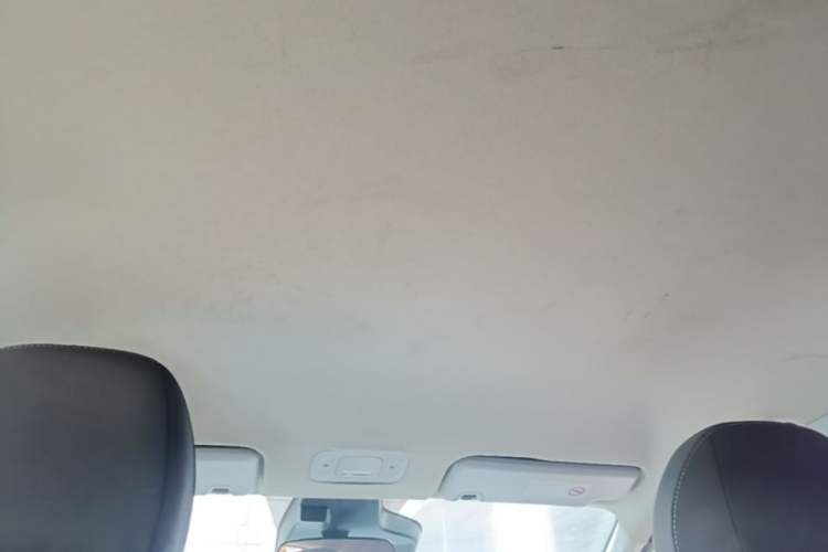 Used AION Y 2023 Plus 510 Enjoy Edition Headliner