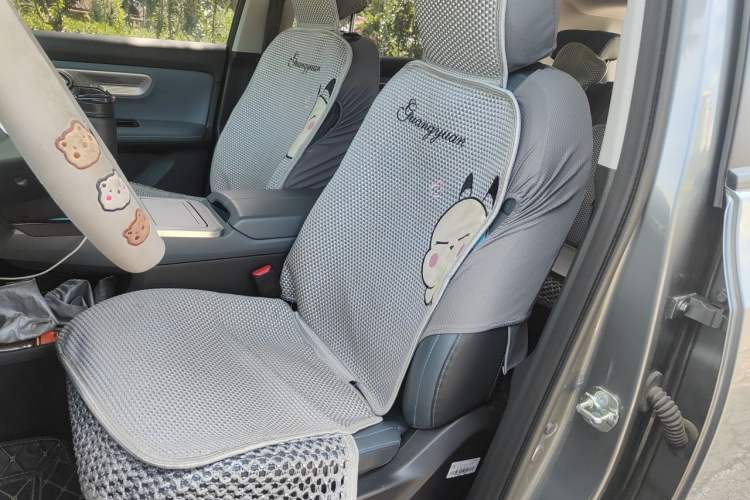 Used AION Y 2023 Younger Star Edition Left Front Seat