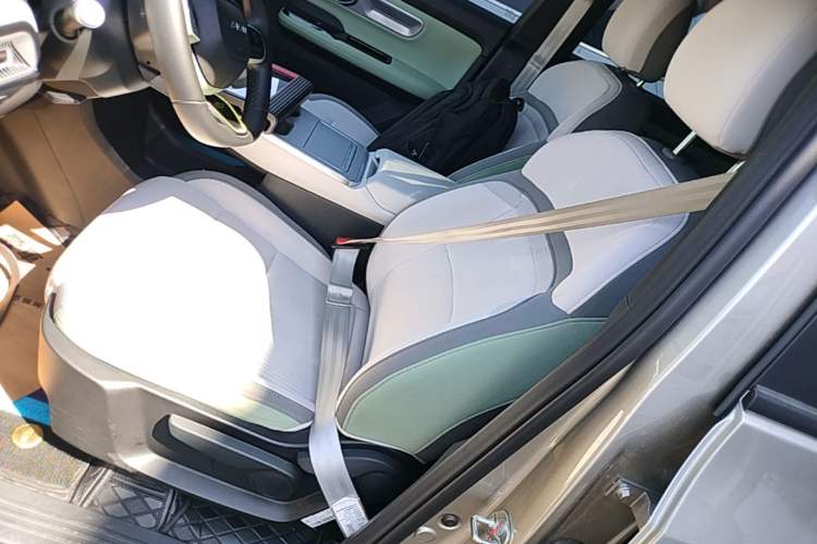 Used AION Y 2023 Younger Left Front Seat
