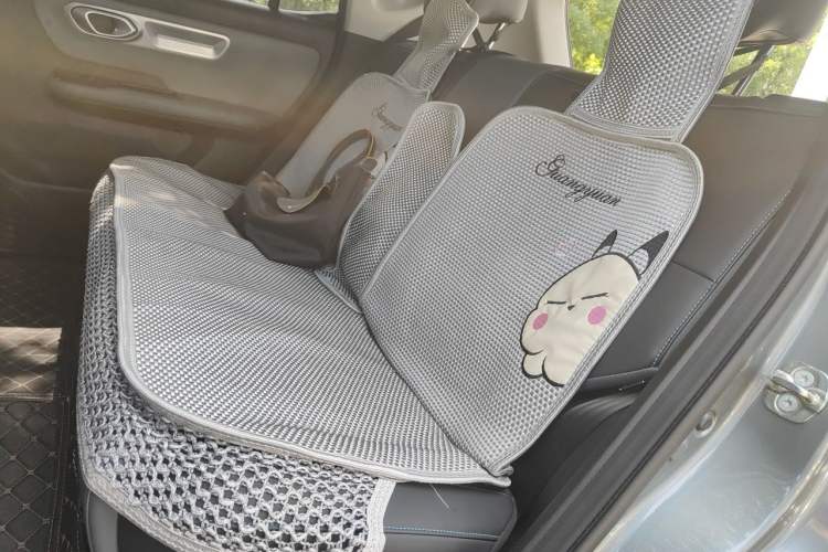 Used AION Y 2023 Younger Star Edition Left Rear Seat