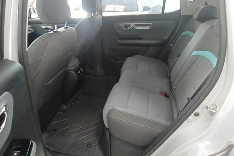 Used AION Y 2023 Plus 610 Enjoyment Edition Ternary Lithium Left Rear Seat