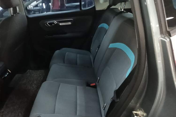 Used AION Y 2023 Younger Left Rear Seat